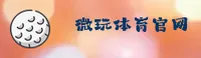【官方】微玩体育平台 - 专业体育竞技入口